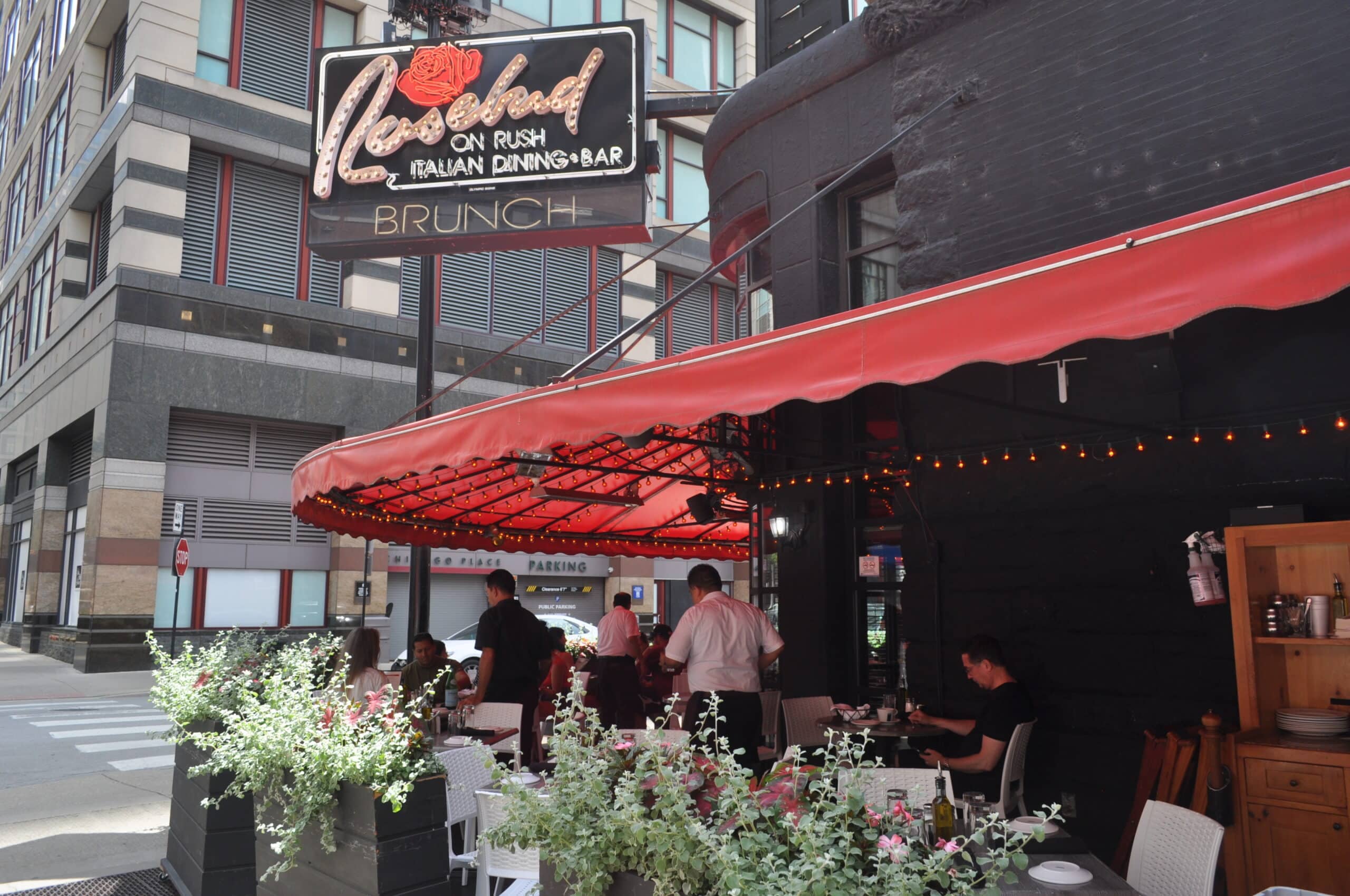 Rosebud American Kitchen and Bar - A Little Bit About a Lot of