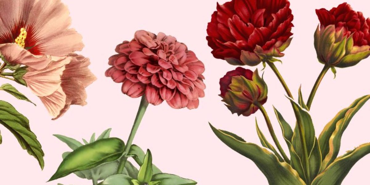 copy of mother's day menu 2025 (816 x 528 px)
